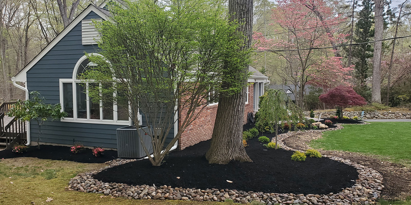 Affordable Prices and High-Quality services in a single place