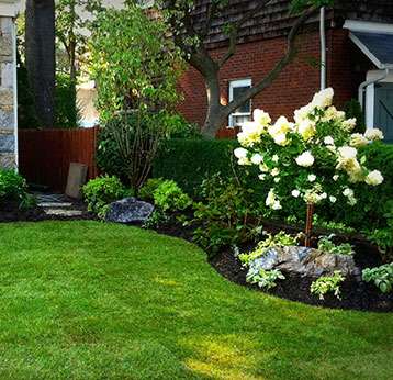 Landscape Design & Maintenance
