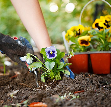 Gardening/Planting and Grading