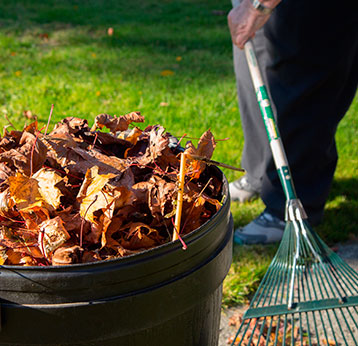 Spring and Fall Clean Up